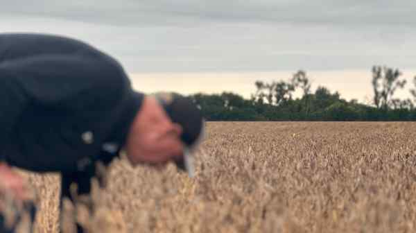 Stream article image